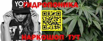 эйфоретик Ачхой-Мартан