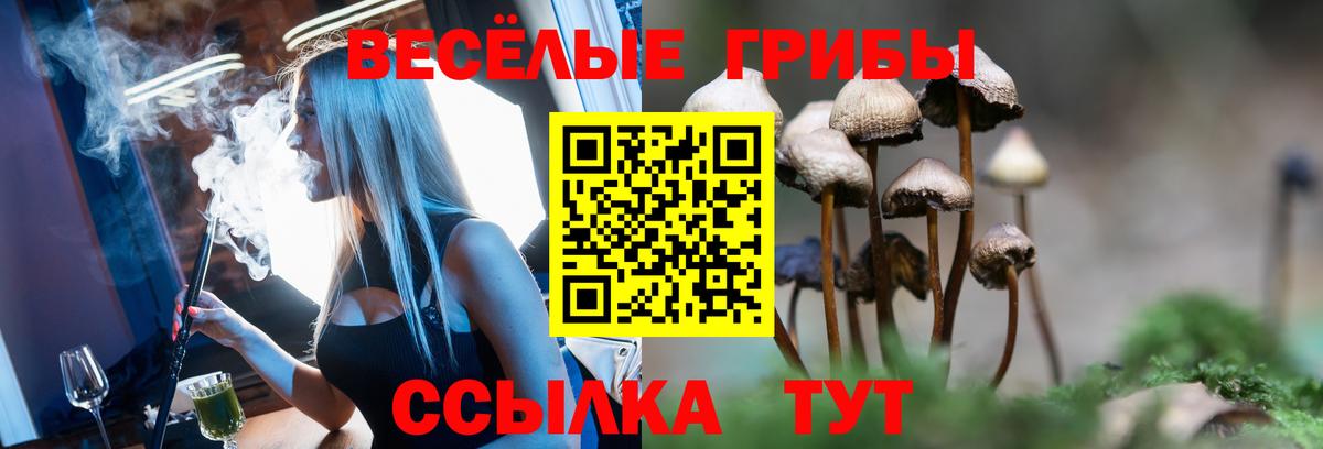 Псилоцибиновые грибы GOLDEN TEACHER Бийск